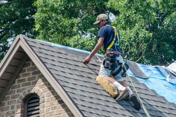 Best Roof Restoration Services  in Han, GA
